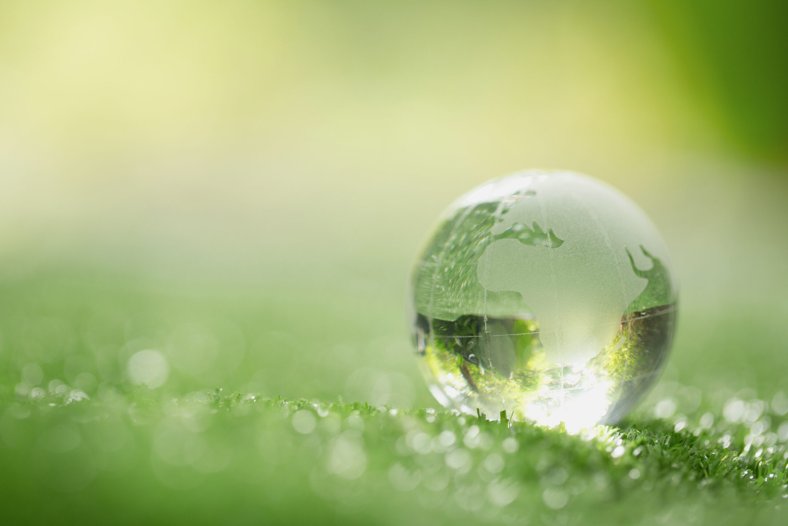 close-up-crystal-globe-resting-grass-forest_Image by jcomp on Freepik